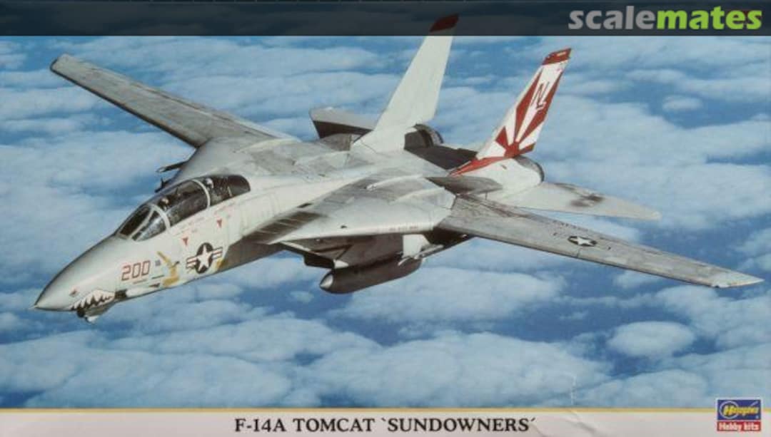 Boxart F-14A Tomcat `Sundowners´ 00366 Hasegawa