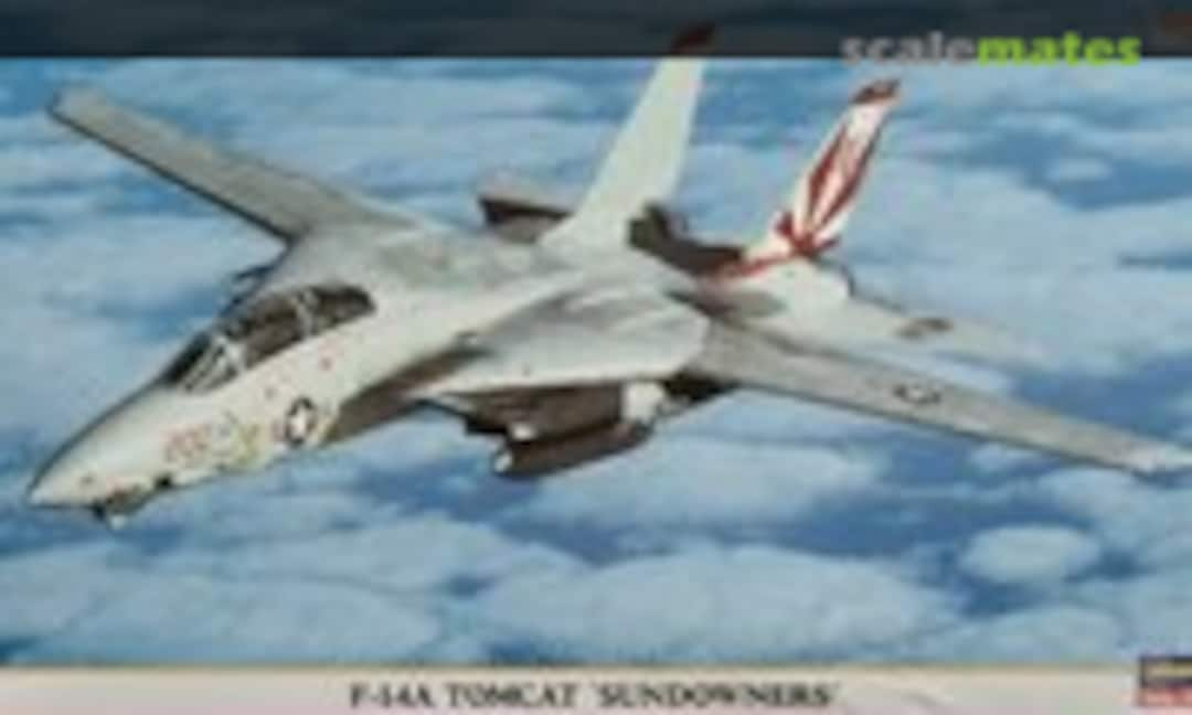 1:72 F-14A Tomcat `Sundowners´ (Hasegawa 00366)