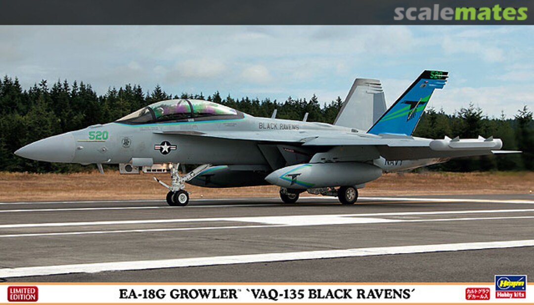 Boxart EA-18G Growler `VAQ-135 Black Ravens´ 02000 Hasegawa