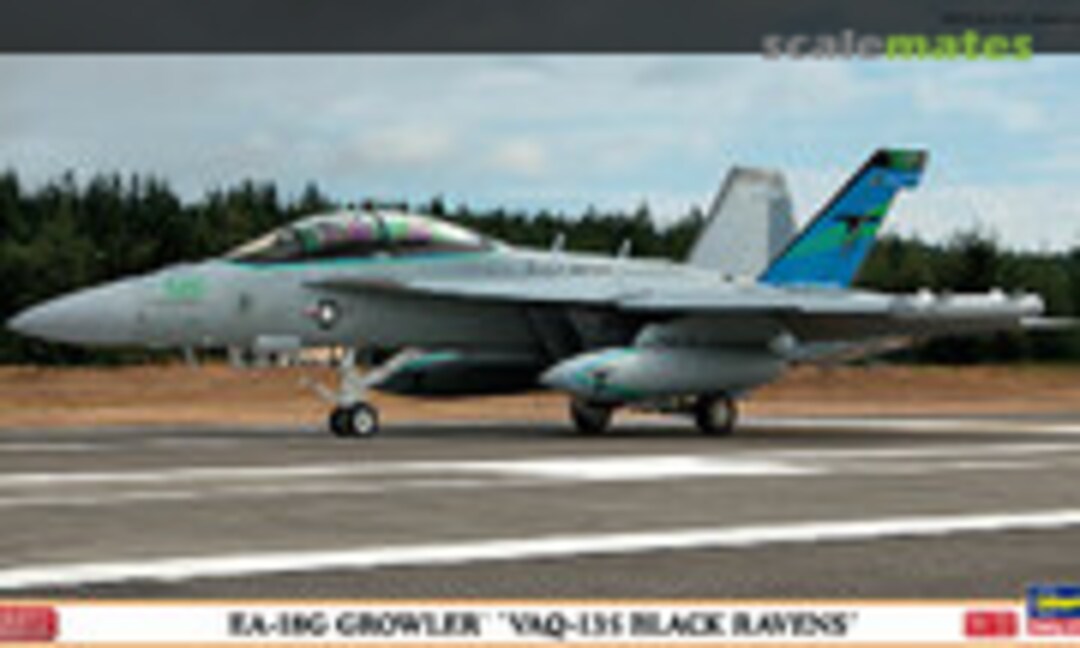 1:72 EA-18G Growler `VAQ-135 Black Ravens´ (Hasegawa 02000)