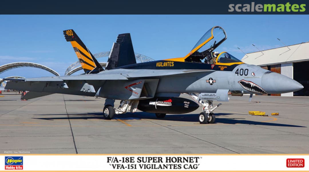 Boxart F/A-18E Super Hornet `VFA-151 Vigilantes CAG´ 02365 Hasegawa