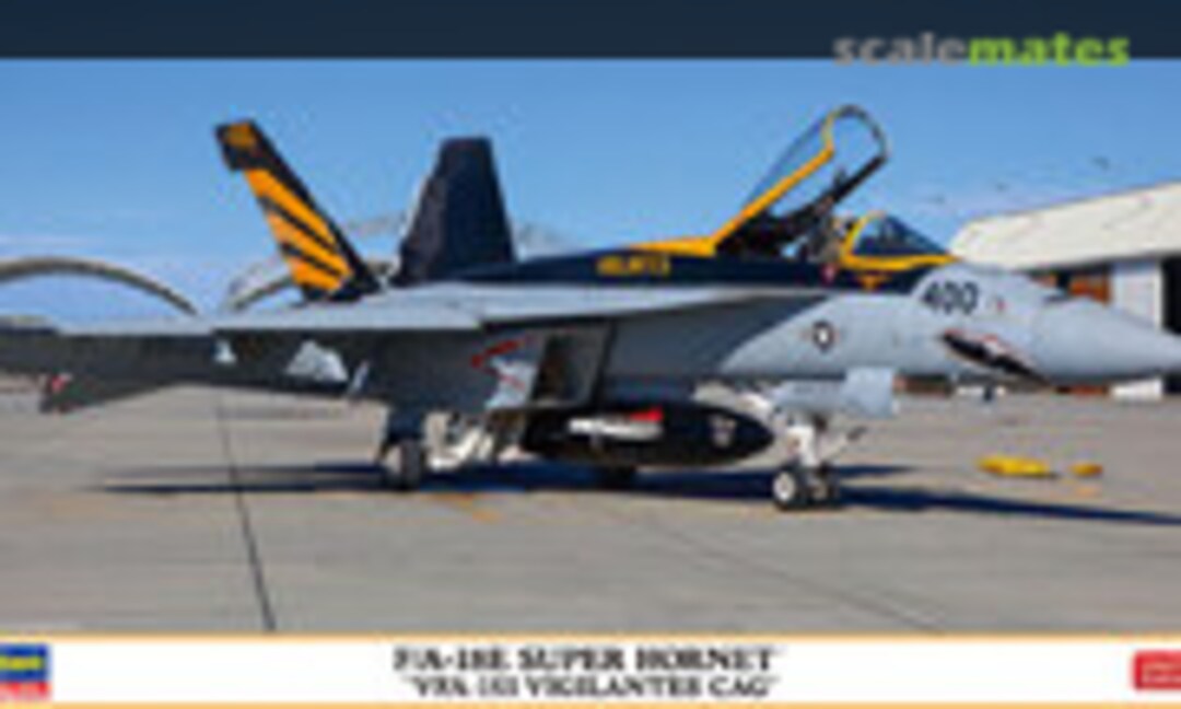 1:72 F/A-18E Super Hornet `VFA-151 Vigilantes CAG´ (Hasegawa 02365)