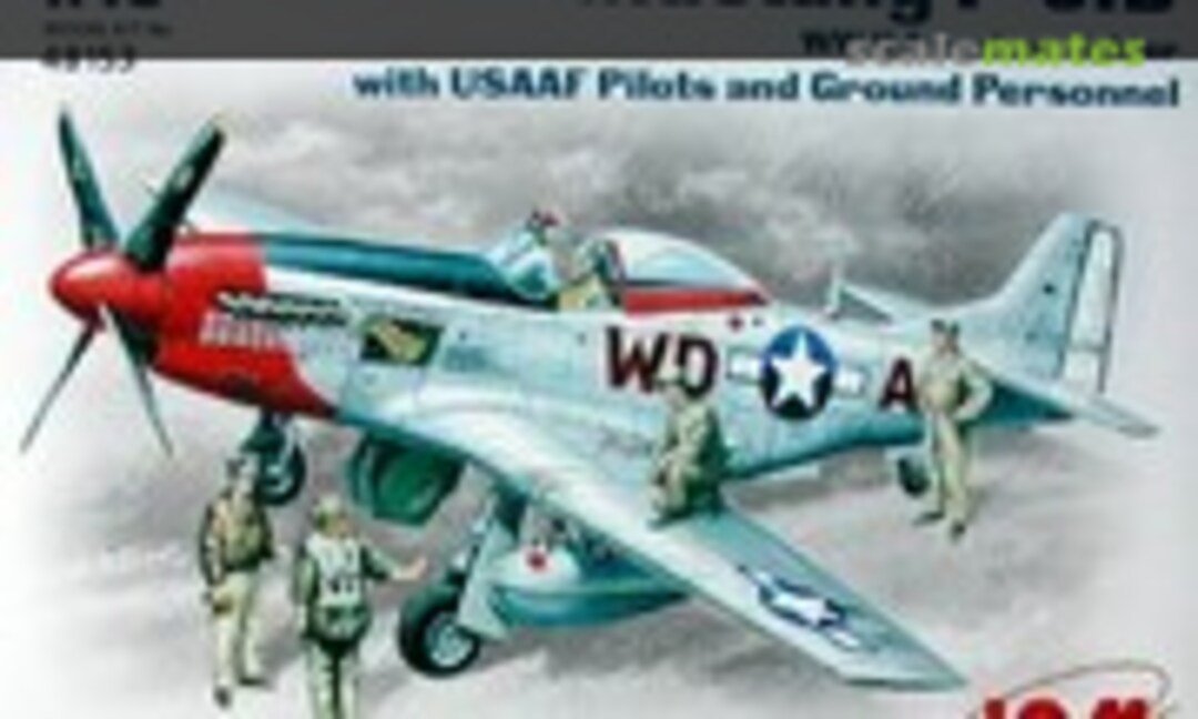 1:48 Mustang P-51D (ICM 48153)