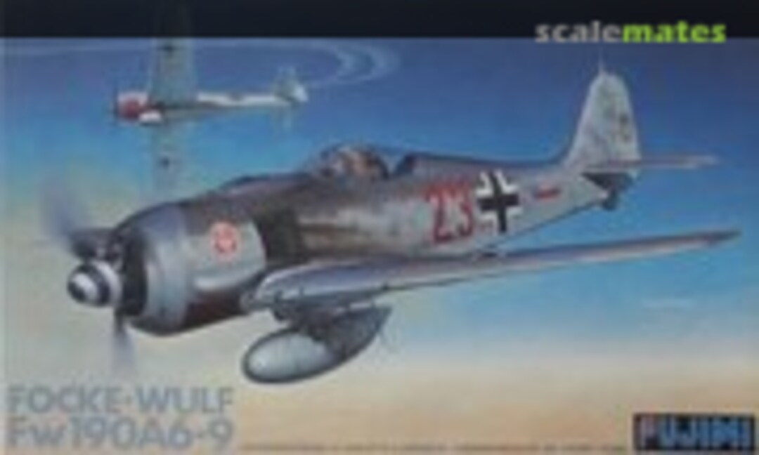 1:48 Focke-Wulf Fw 190A6-9 (Fujimi 30004)