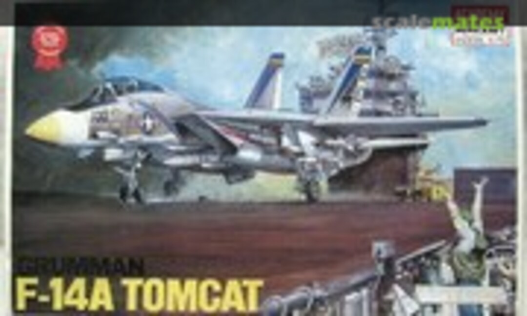 1:48 Grumman F-14A Tomcat (Academy/Minicraft 1659)