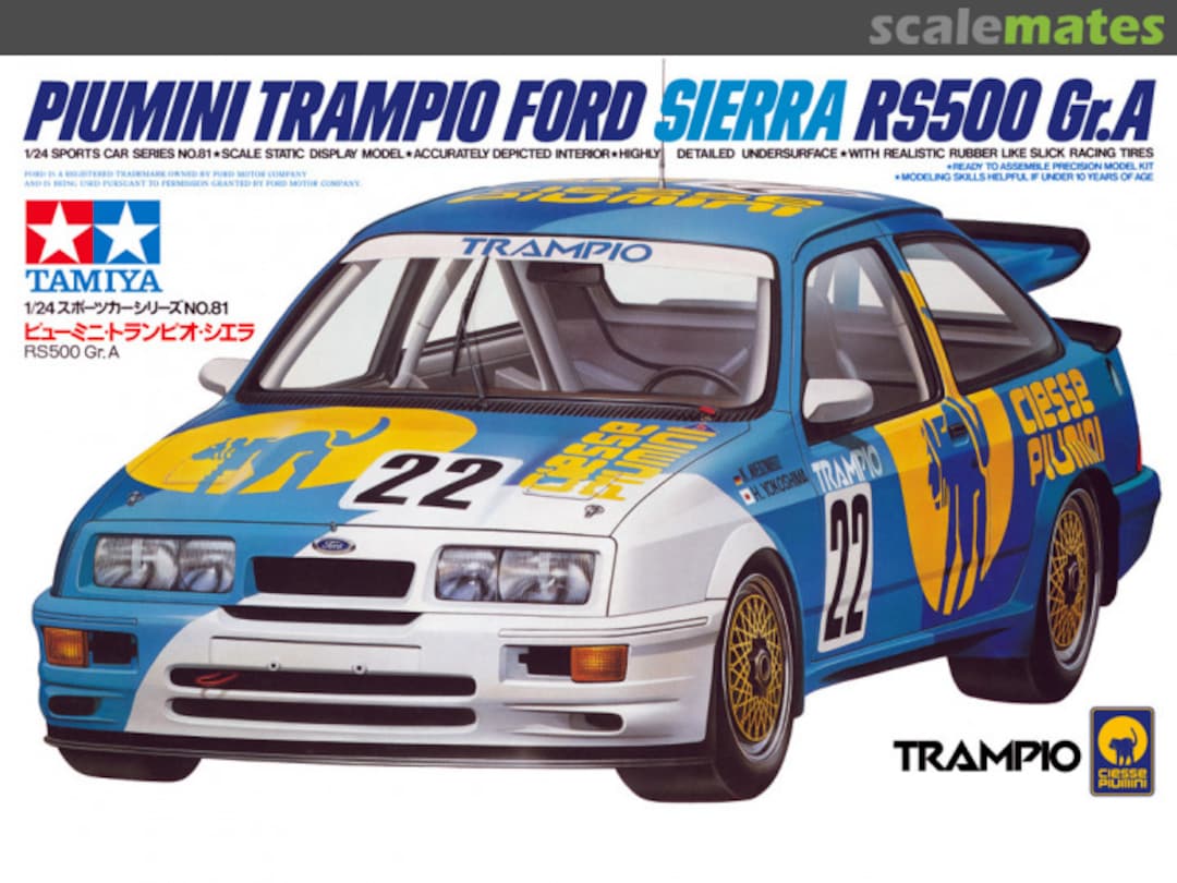 Boxart Piumini Trampio Ford Sierra RS500 Gr.A 24081 Tamiya