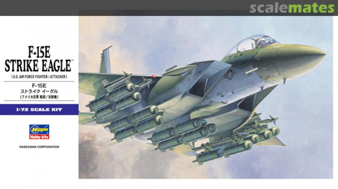 Boxart F-15E Strike Eagle 00540 Hasegawa