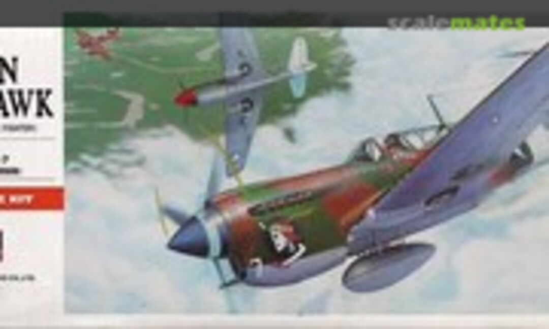 1:72 P-40N Warhawk (Hasegawa 00139)