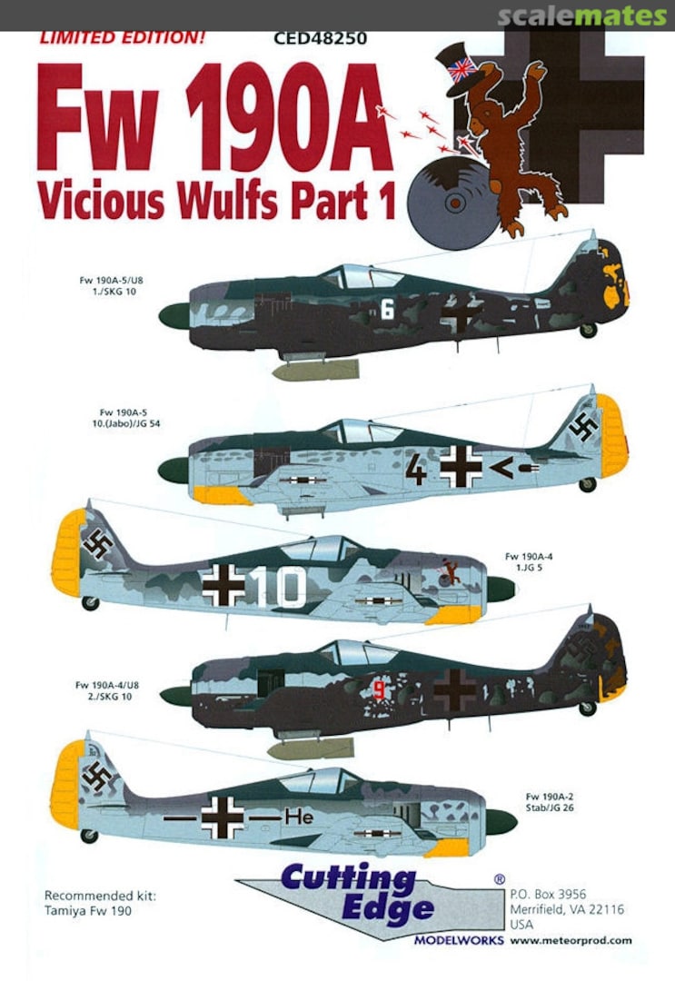 Boxart Fw 190A Vicious Wulfs Part 1 CED48250 Cutting Edge Modelworks