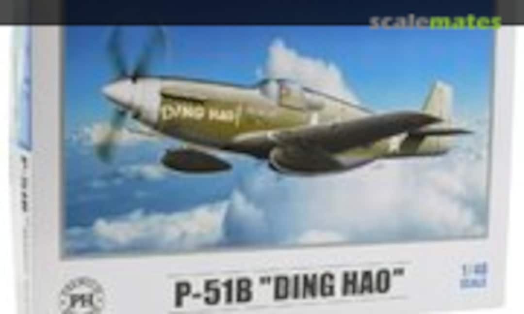 1:48 P-51B &quot;Ding Hao&quot; (Premium Hobbies 136V)