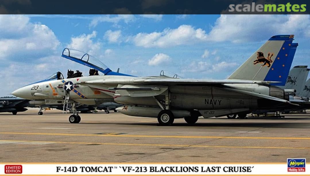 Boxart F-14D Tomcat `VF-213 Blacklions Last Cruise´ 02406 Hasegawa