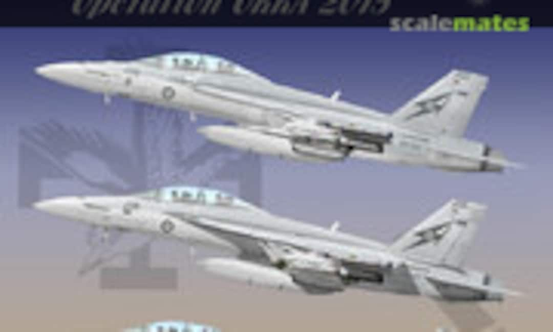 1:48 RAAF 1 &amp; 6 Squadron F/A-18F/F+ (Ronin Decals RDS-156)