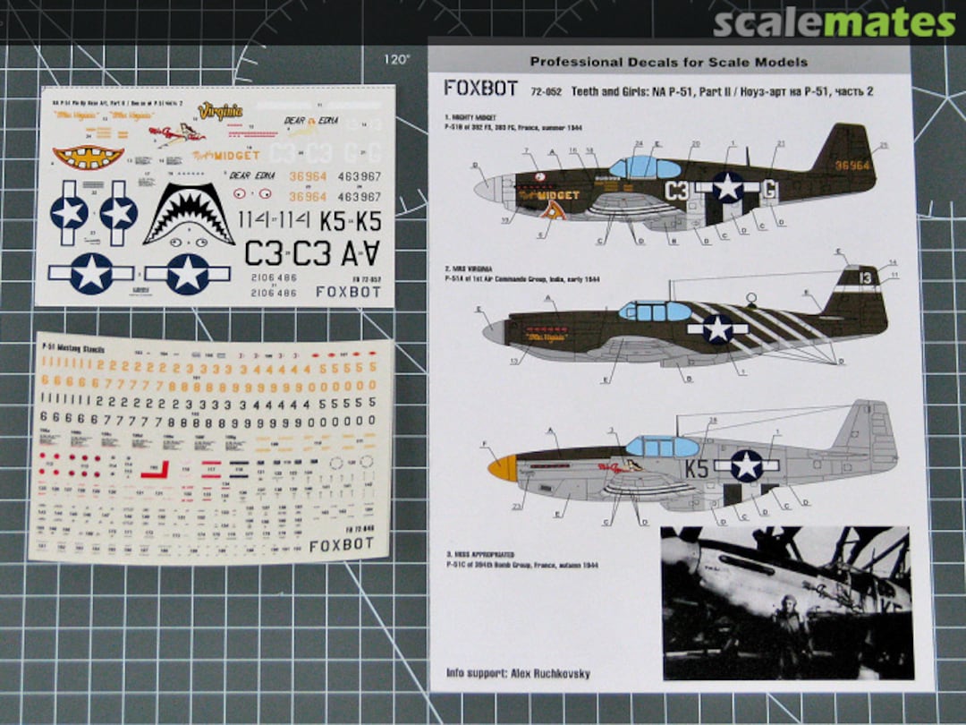 Boxart P-51 Mustang Nose Art, Part II 72-052 Foxbot