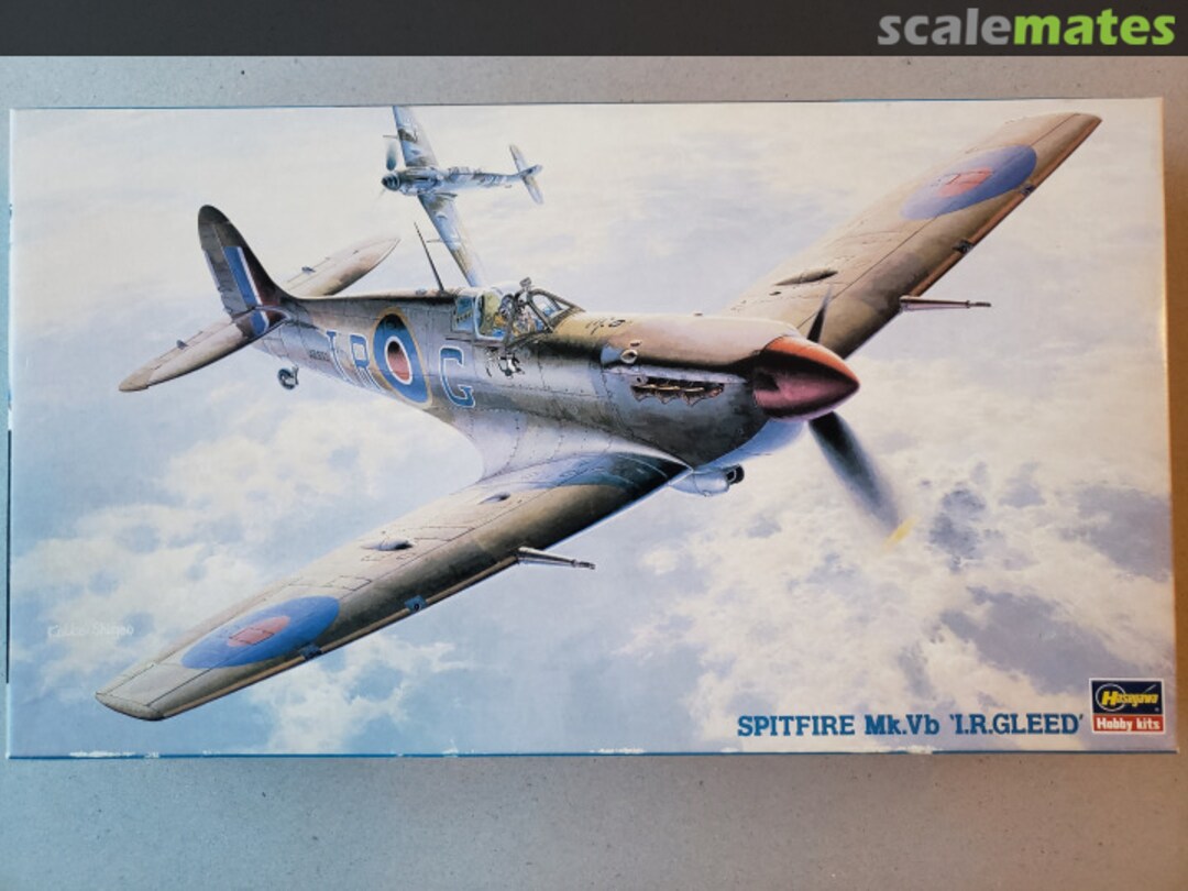 Boxart Spitfire Mk.Vb I.R.Gleed 09106 Hasegawa