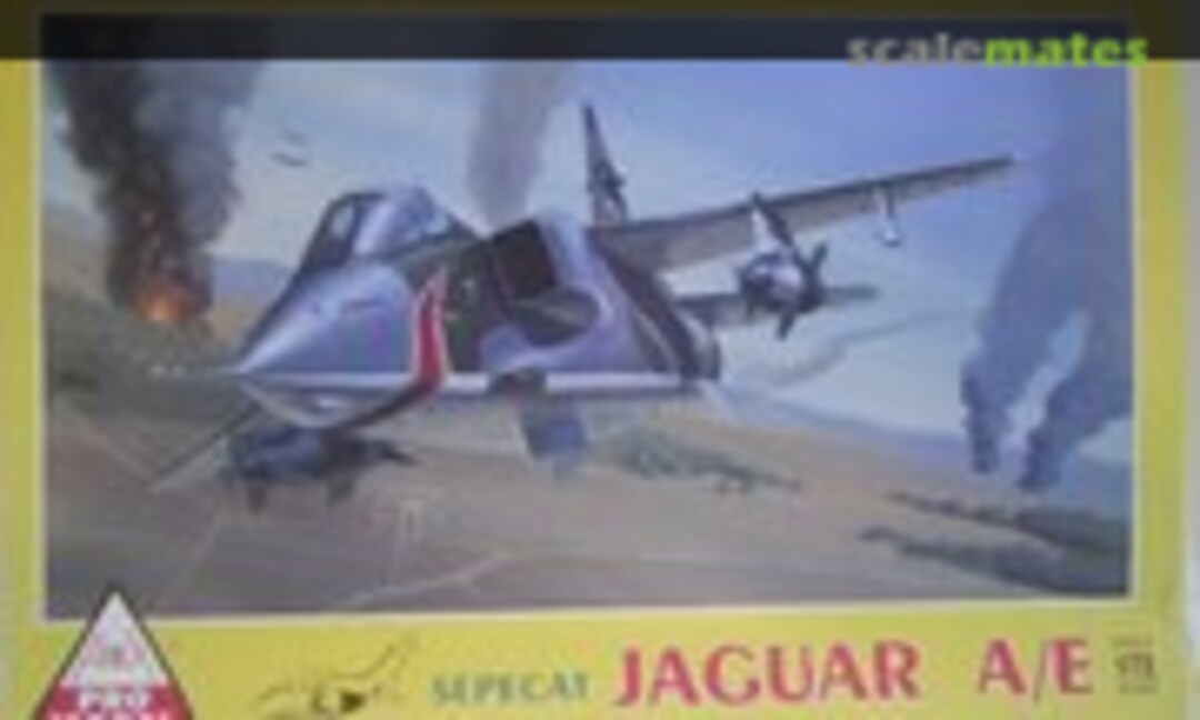 1:72 Jaguar A/E (Ariex - Promodel )