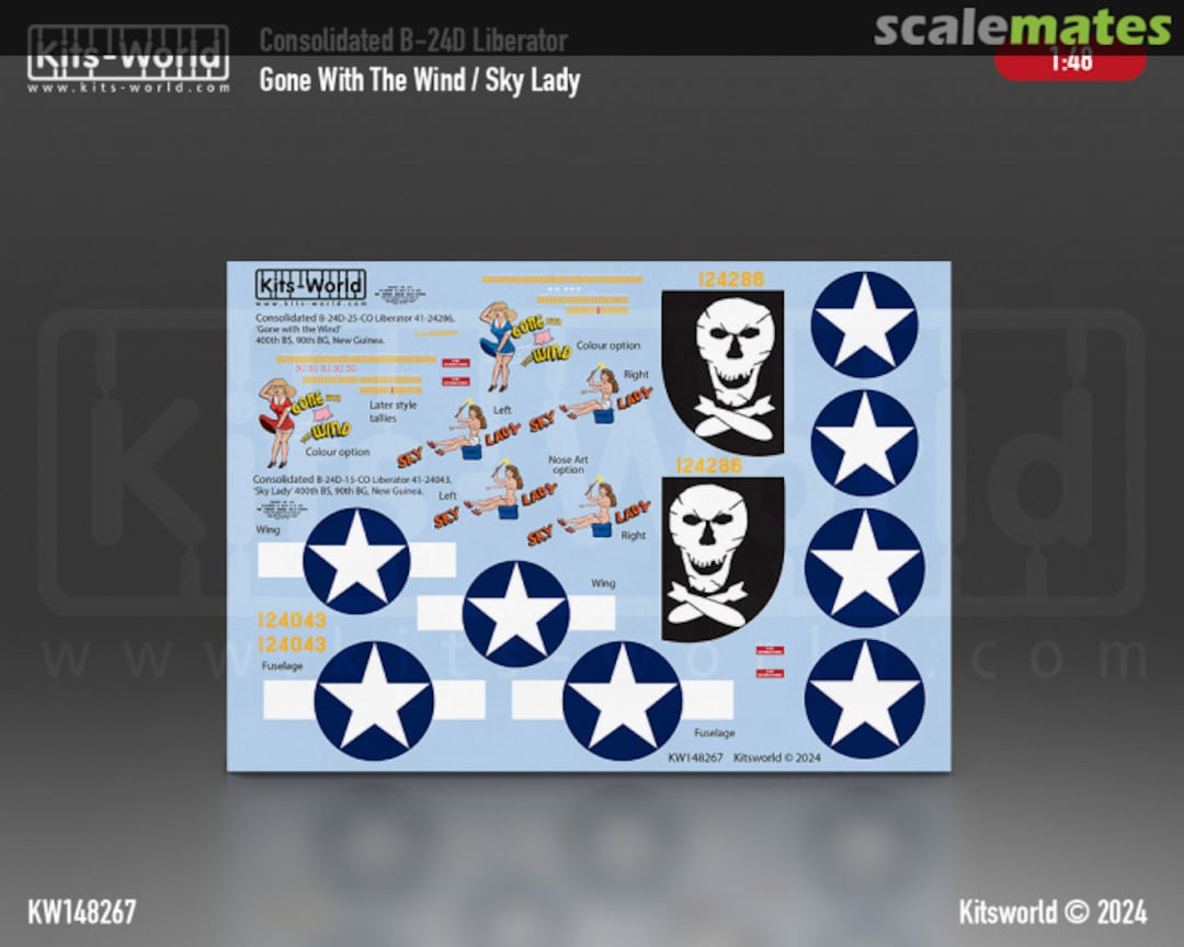 Boxart Consolidated B-24D Liberator KW148267 Kits-World