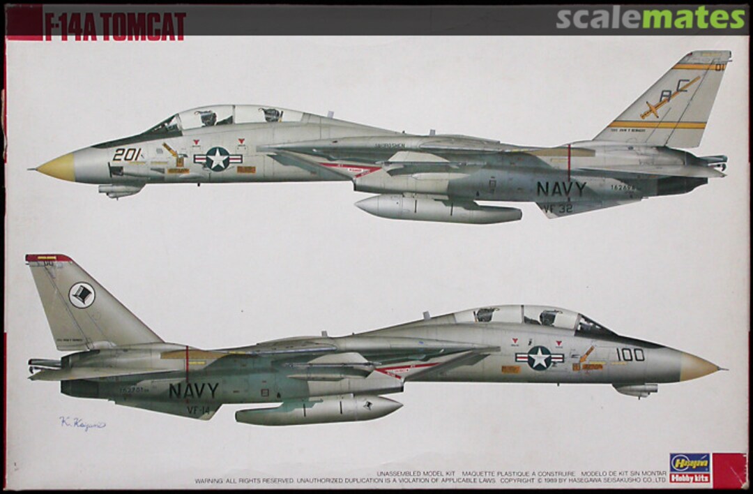 Boxart F-14A Tomcat 51514 Hasegawa