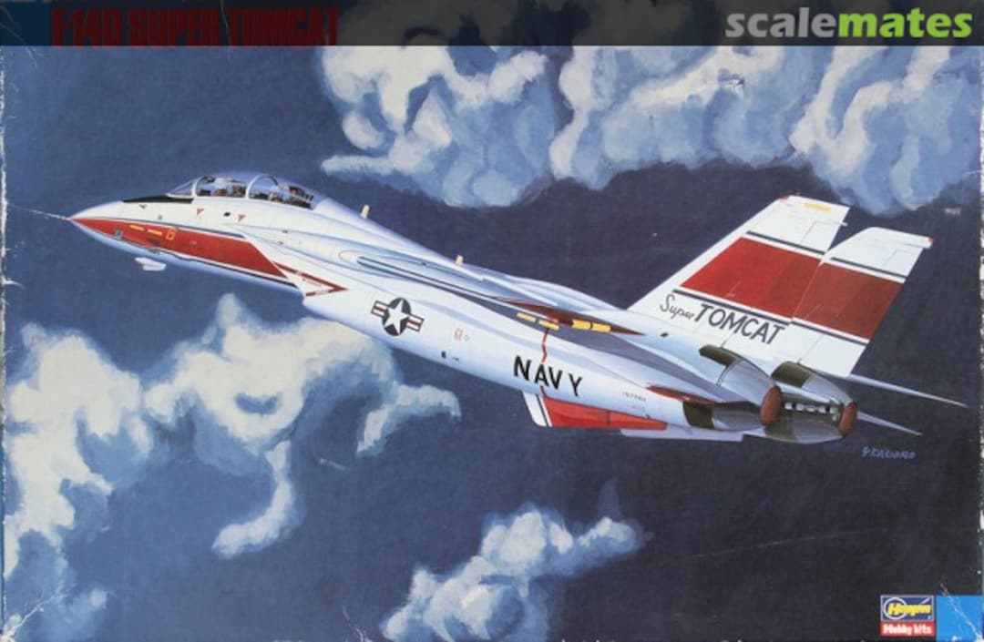 Boxart F-14D Super Tomcat 51504 Hasegawa