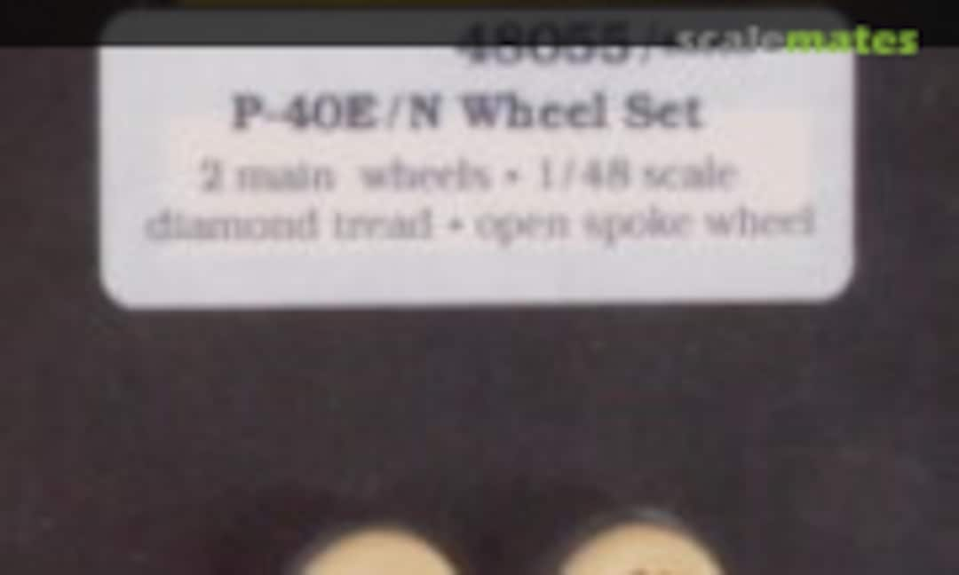 1:48 P-40E/N wheel set (True Details 48055)