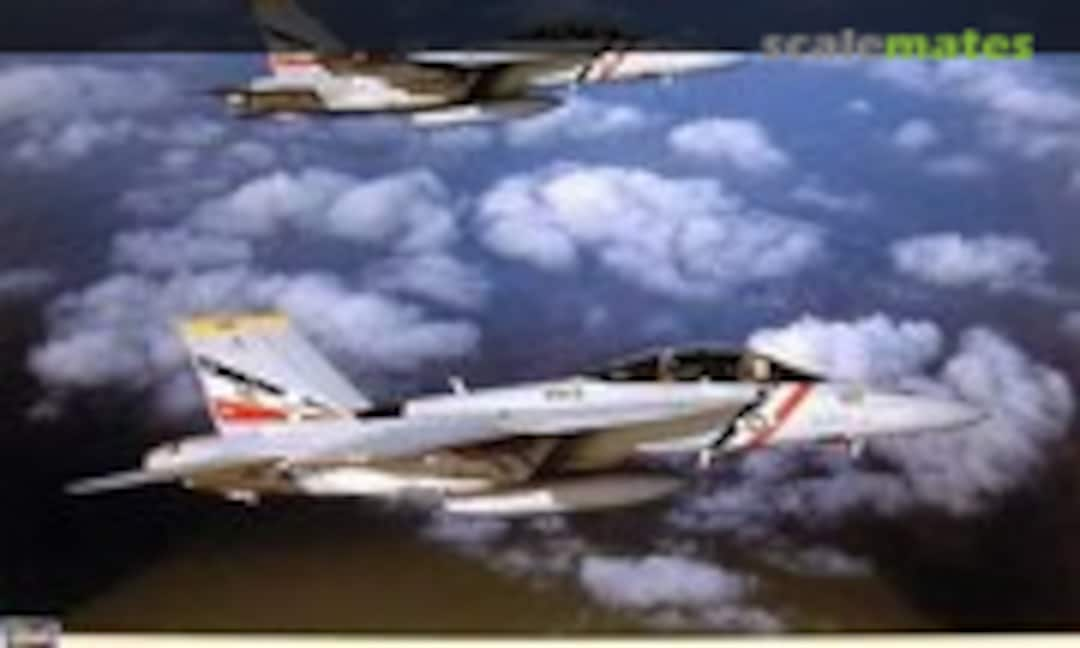 1:48 F/A-18F Super Hornet `VFA-2 Bounty Hunters´ (Hasegawa 09693)