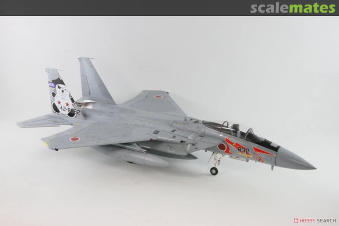 Boxart F-15J JASDF - Air Combat Meet 2013 SNG-03P Pit-Road