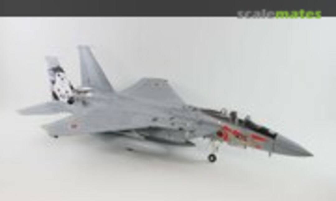 1:48 F-15J JASDF - Air Combat Meet 2013 (Pit-Road SNG-03P)