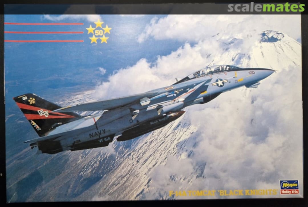 Boxart F-14A Tomcat `Black Knights´ 04081 Hasegawa