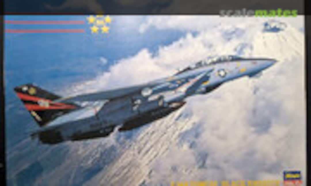 1:72 F-14A Tomcat `Black Knights´ (Hasegawa 04081)