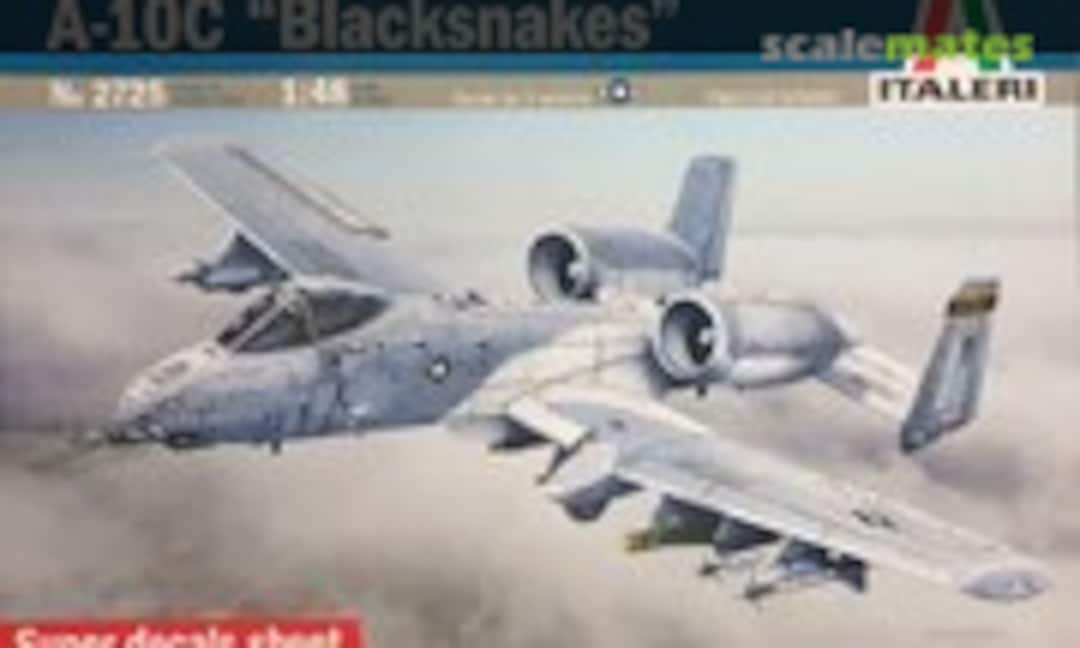 1:48 A-10C &quot;Blacksnakes&quot; (Italeri 2725)