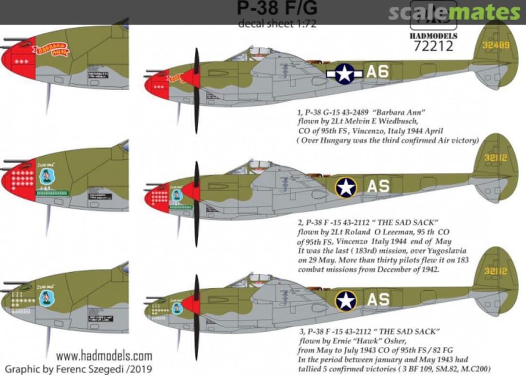 Boxart P-38 F/G 72212 HADmodels 