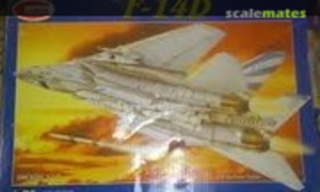 1:72 F-14D (Lodela )