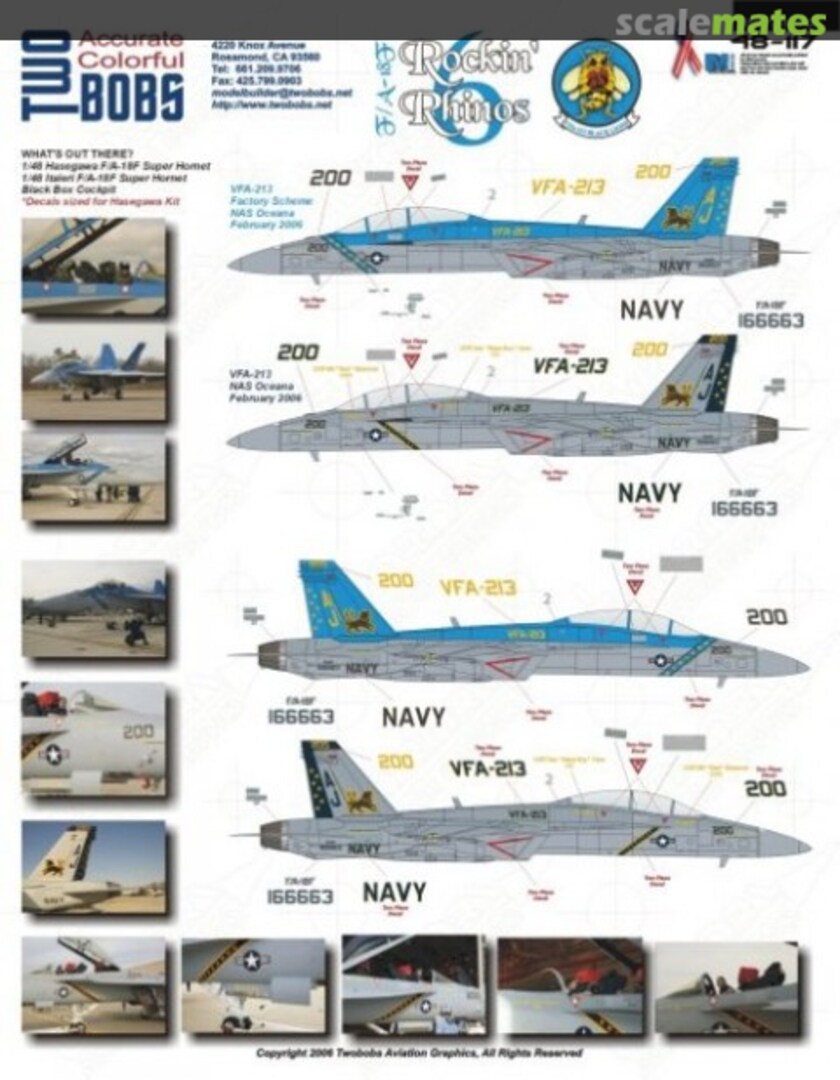 Boxart F/A-18F Rockin' Rhinos #6 VFA-213 48-117 TwoBobs Aviation Graphics