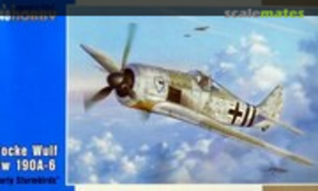 1:48 Focke-Wulf Fw 190A-6 &quot;Early Sturmbirds&quot; (Special Hobby SH48103)