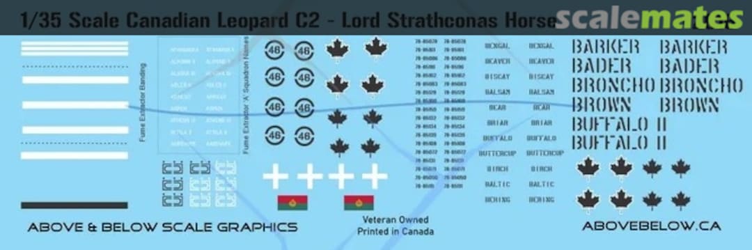 Boxart Canadian Leopard C2 2016 Above & Below Graphics