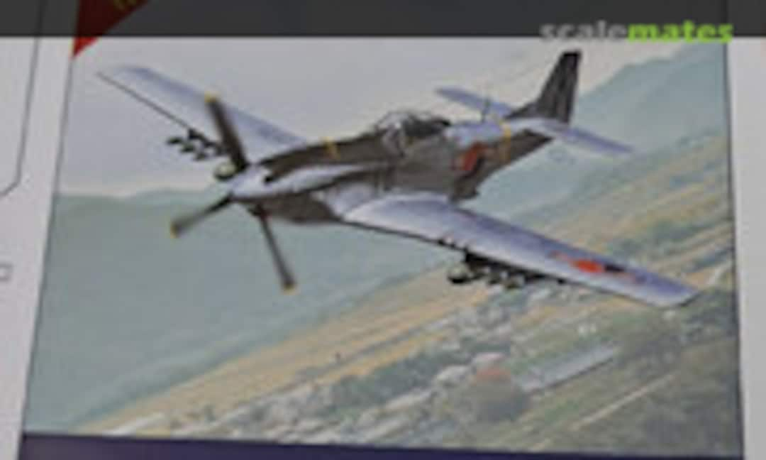 1:48 F-51D &quot;Korean War&quot; (Academy 12354)