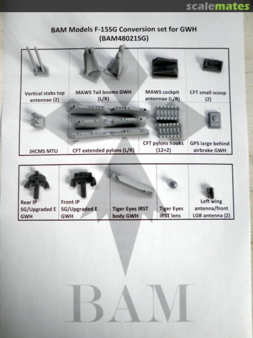 Boxart F-15 “The next Generation” for GWH - SG BAM48021SG BAM Models