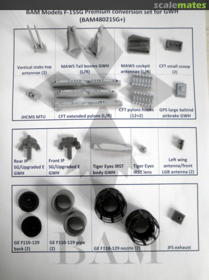 Boxart F-15 “The next Generation” for GWH - SG Premium BAM48021SG+ BAM Models