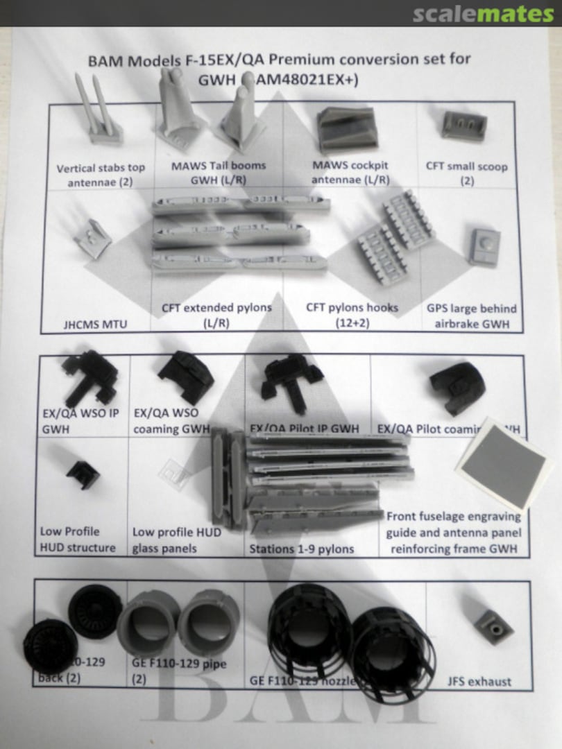 Boxart F-15 “The next Generation” for GWH - EX/QA Premium BAM48021EX+ BAM Models