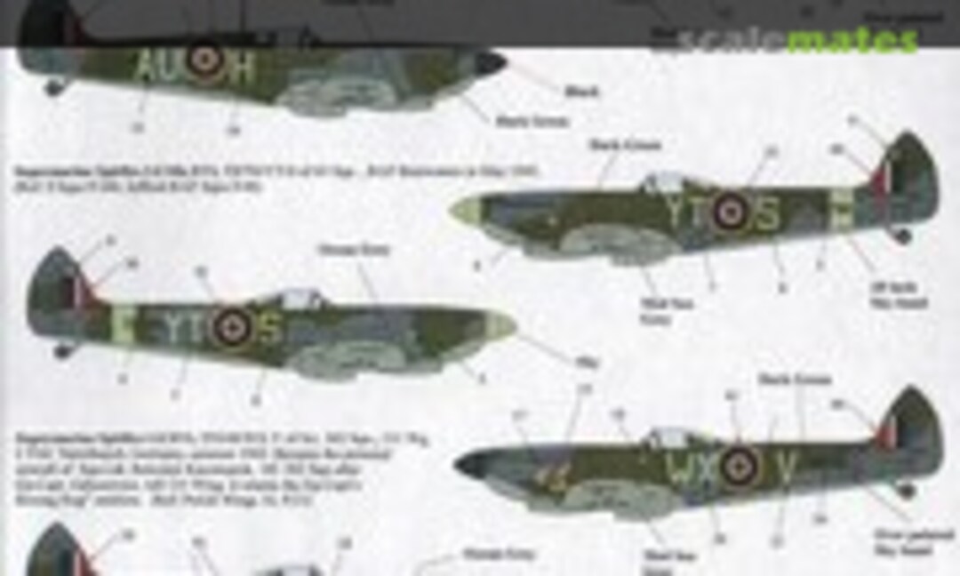 1:48 Spitfire Mk.XVI (Xtradecal X48-128)