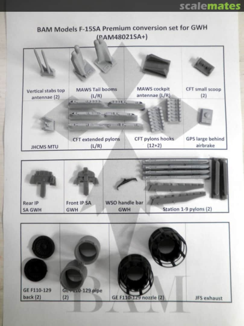 Boxart F-15 “The next Generation” for GWH - SA Premium BAM48021SA+ BAM Models