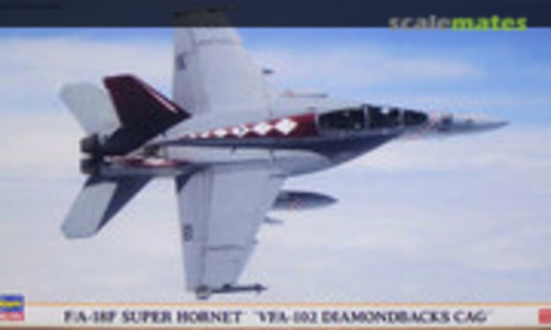 1:72 F/A-18F Super Hornet `VFA-102 Diamondbacks CAG´ (Hasegawa 00827)