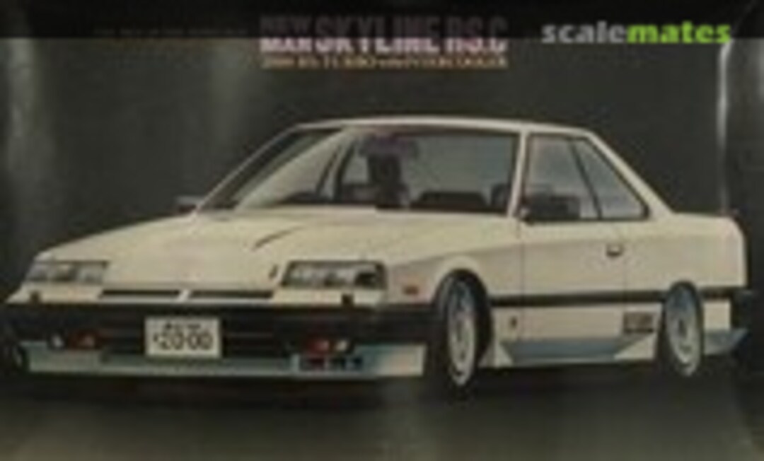 1:24 New Man Skyline 2000 RS Turbo with Intercooler '92 (Fujimi 03009)