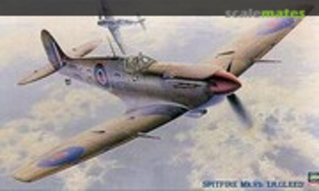 1:48 Spitfire Mk.VB `I.R.Gleed´ (Hasegawa 09106)