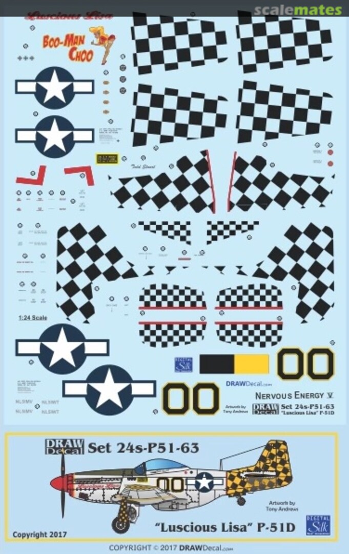 Boxart P-51D “Luscious Lisa” 24-P51-63 Draw Decal