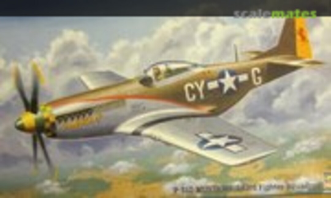 1:48 P-51D Mustang `343rd Fighter Squadron´ (Hasegawa 09267)