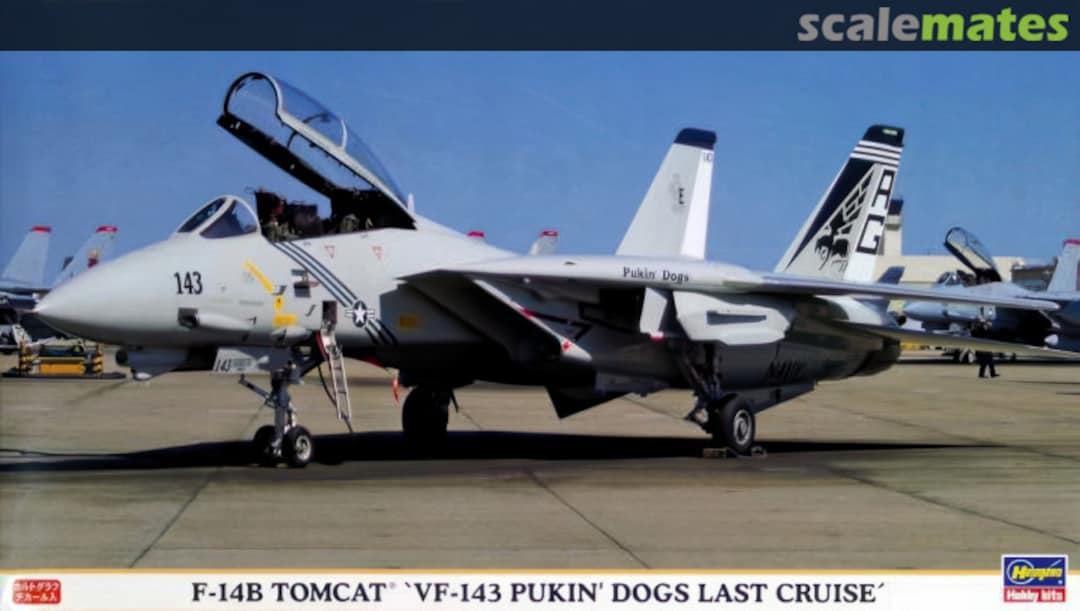 Boxart F-14B Tomcat `VF-143 Pukin' Dogs Last Cruise´ 00814 Hasegawa