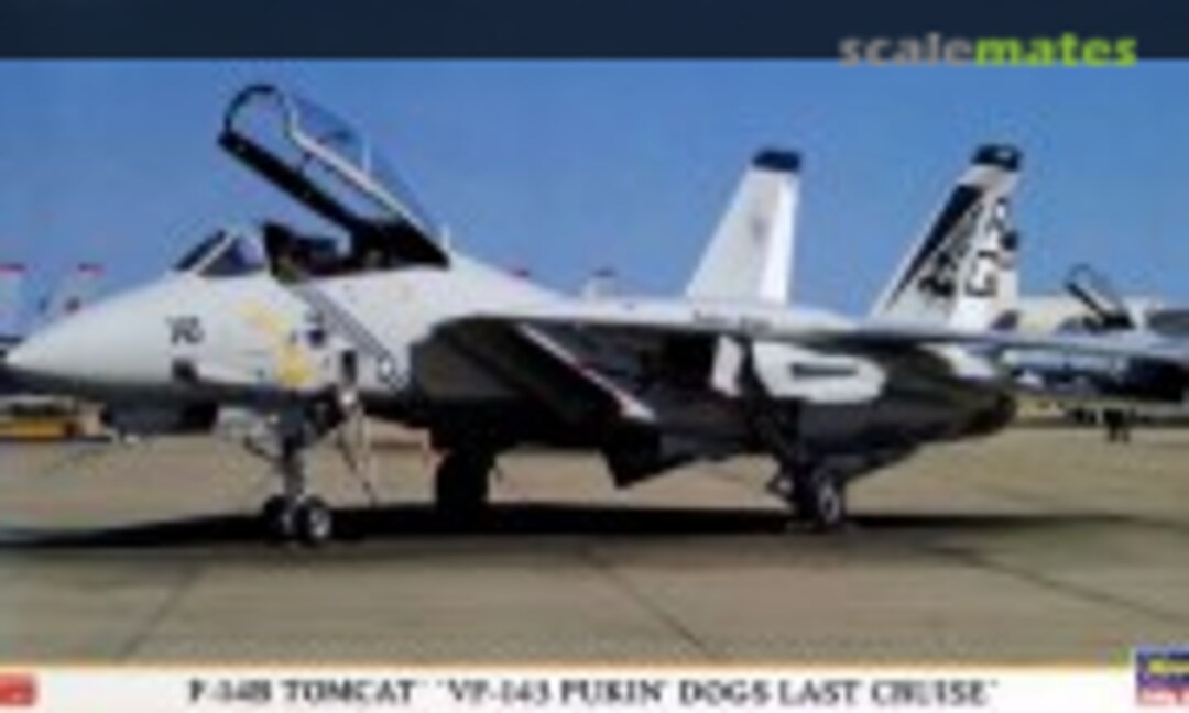 1:72 F-14B Tomcat `VF-143 Pukin' Dogs Last Cruise´ (Hasegawa 00814)