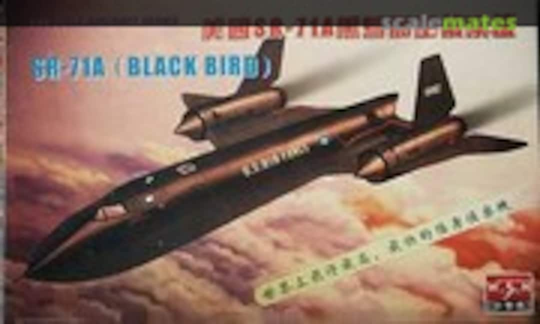 1:72 SR-71A Blackbird (WSN 80201)