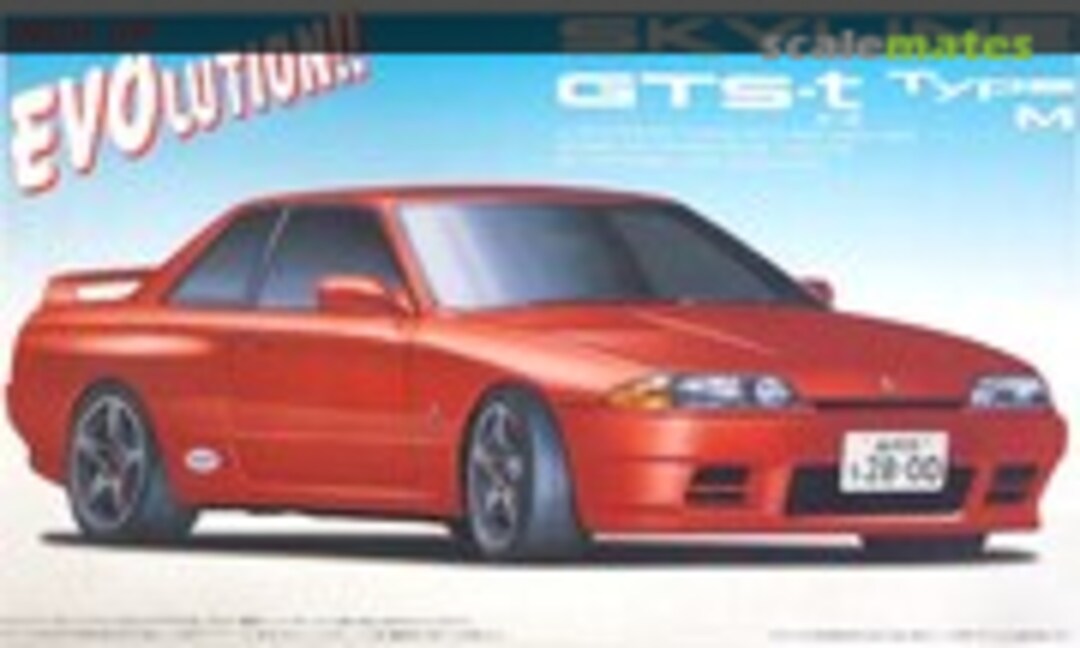 1:24 R32 Skyline GTS-t Type M '88 (Fujimi 04403)