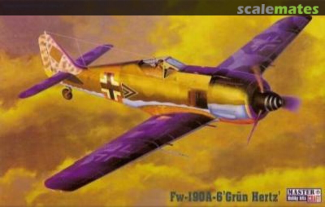 Boxart Fw-190A-6 'Grun Hertz' TURAF C-03 MasterCraft